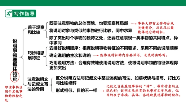 八年级语文上册第五单元 写作 说明事物要抓住特征 课件(共29张PPT)