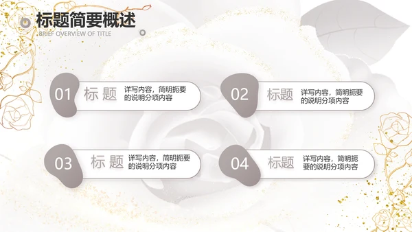 公司企业品牌化妆品介绍宣传PPT