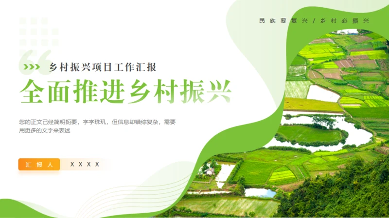 全面推进乡村振兴，田间经济通用PPT模板