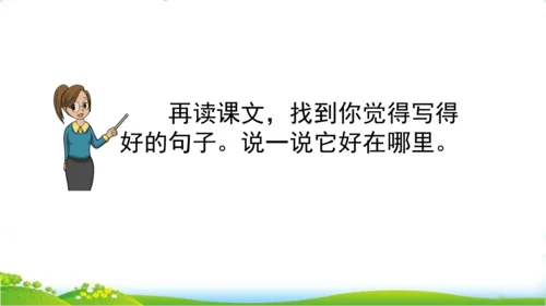 27 我的“长生果“   课件