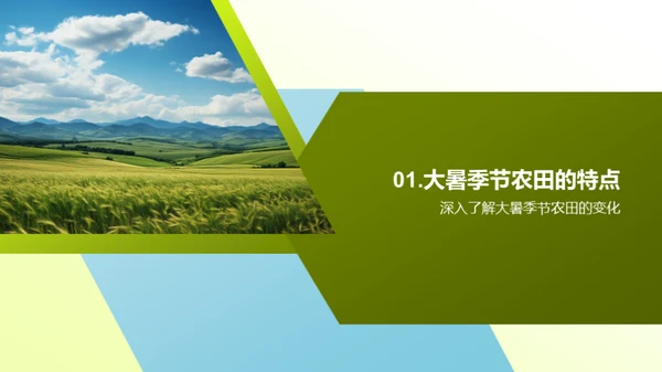 大暑农田守护手册