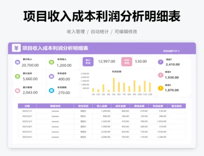 项目收入成本利润分析明细表
