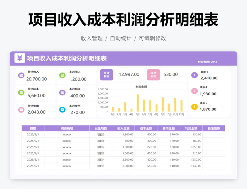 项目收入成本利润分析明细表