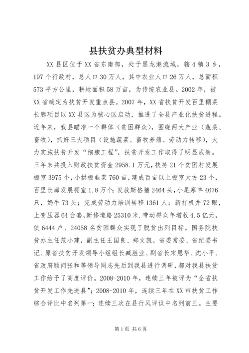 县扶贫办典型材料_1.docx