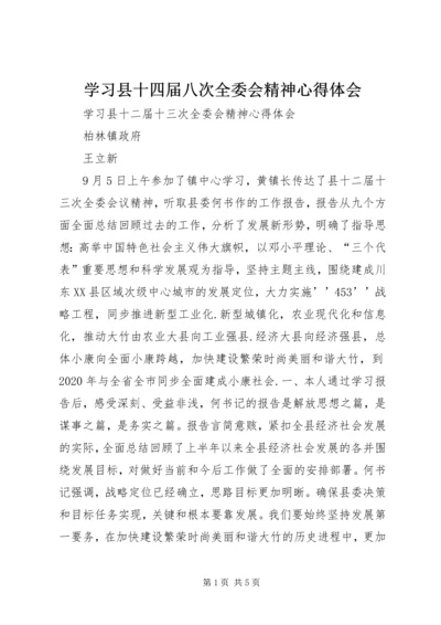 学习县十四届八次全委会精神心得体会.docx