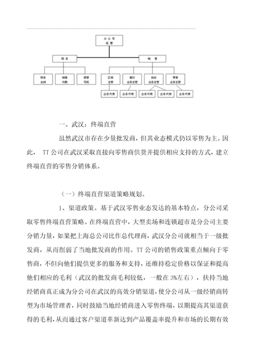 某某分公司营销渠道运营模式案例.docx