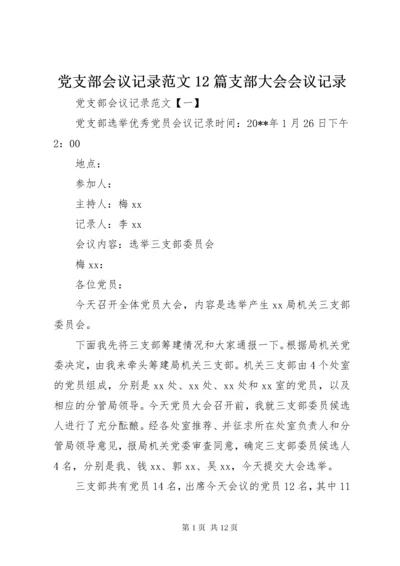 党支部会议记录范文12篇支部大会会议记录.docx