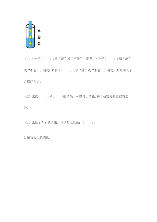 科学四年级下册第一单元植物的生长变化测试卷（基础题）.docx