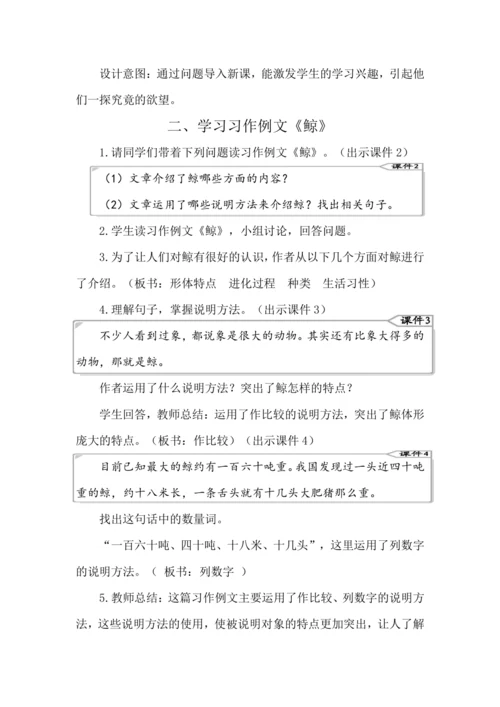 统编版语文五年级上册第五单元 习作例文 教案