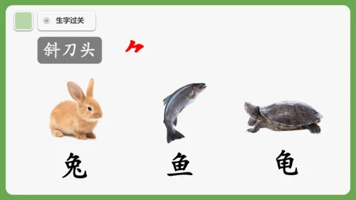 8《比尾巴》课件