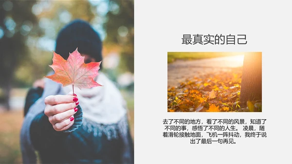风光美景旅行日记PPT模板