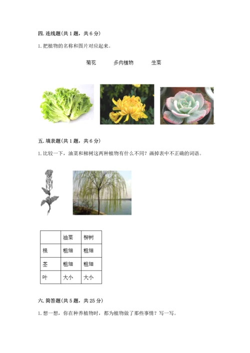 教科版科学一年级上册期末测试卷（综合卷）.docx