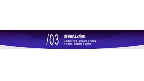 izse科技智季度市场营销计划商业计划书PPT模板