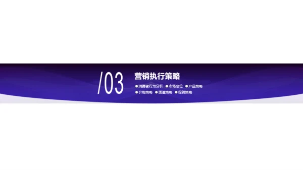 izse科技智季度市场营销计划商业计划书PPT模板