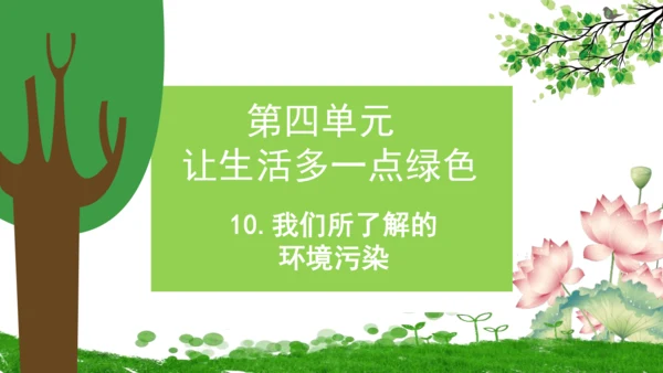 10.我们所了解的环境污染  课件（一课时）