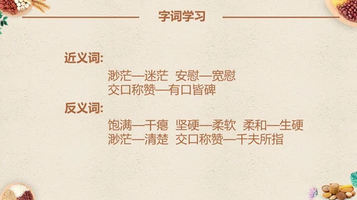 最棒的玉米小学四年级语文课文PPT课件