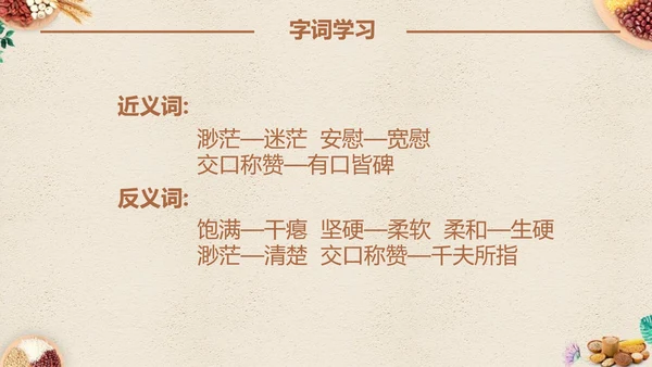 最棒的玉米小学四年级语文课文PPT课件