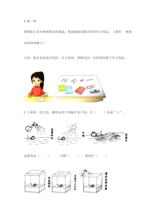 教科版一年级下册科学期末测试卷精品（突破训练）.docx