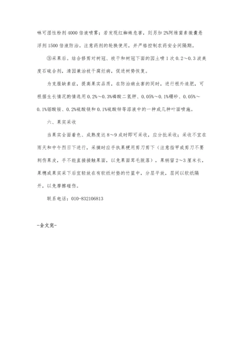 枇杷无公害优质高产栽培技术.docx