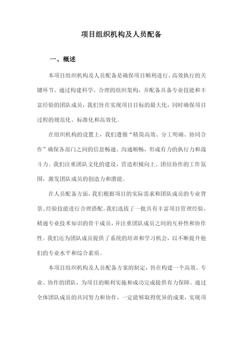 项目组织机构及人员配备.docx