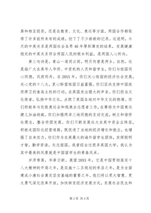 刘晓明在华侨华人新春招待会讲话.docx