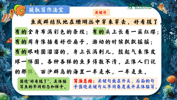 18.富饶的西沙群岛  课件