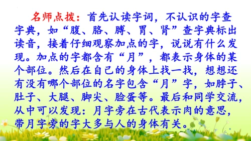 11.我是一只小虫子 课件