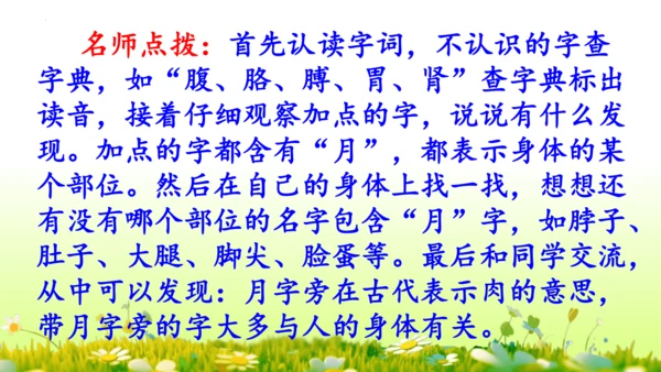 11.我是一只小虫子 课件