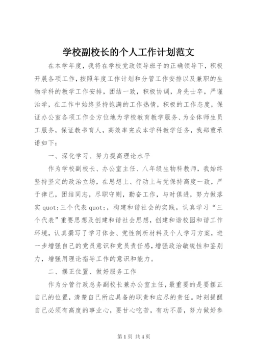 学校副校长的个人工作计划范文.docx