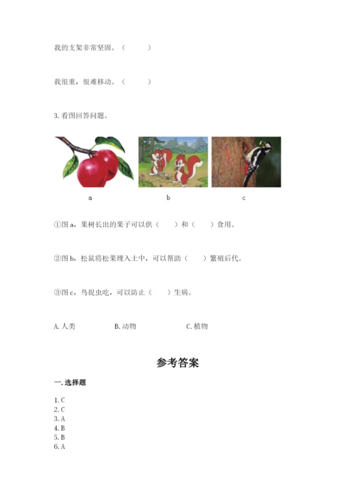 教科版小学二年级上册科学期末测试卷【达标题】.docx