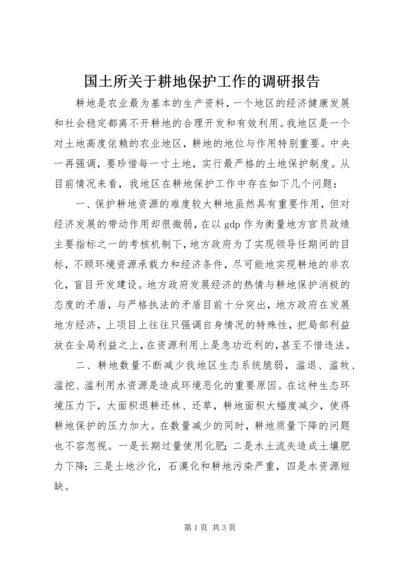 国土所关于耕地保护工作的调研报告.docx