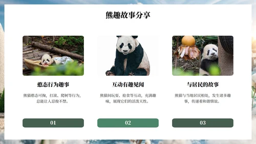 绿色插画毛毡风可爱熊猫城市旅游攻略PPT模板