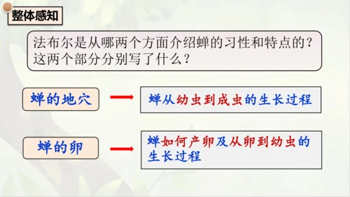 21《蝉》课件