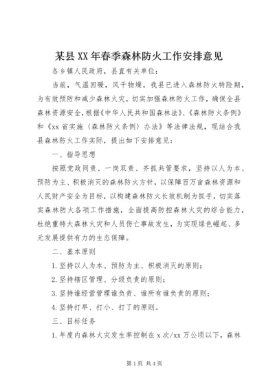 某县XX年春季森林防火工作安排意见.docx