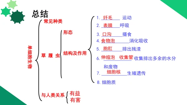 2.2.4 单细胞生物-2023-2024学年七年级生物上册优质教学课件（人教版）(共20张PPT)