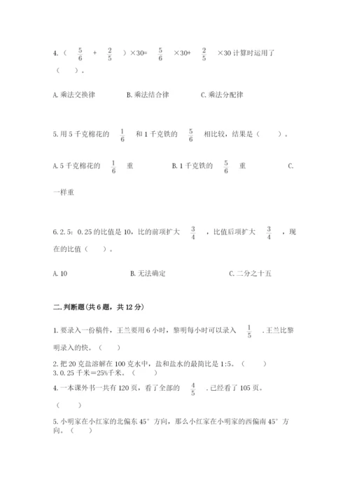 2022人教版六年级上册数学期末测试卷【精练】.docx