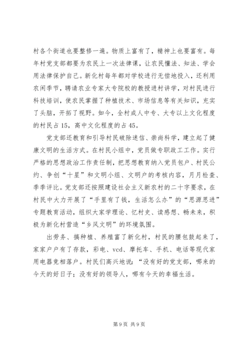 村党支部典型事迹 (4).docx