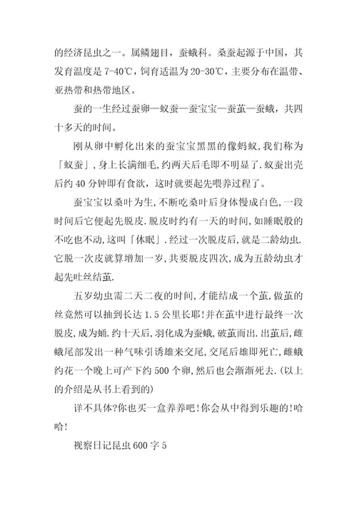 2024年观察日记昆虫600字范文