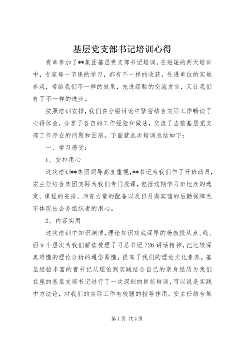 基层党支部书记培训心得.docx