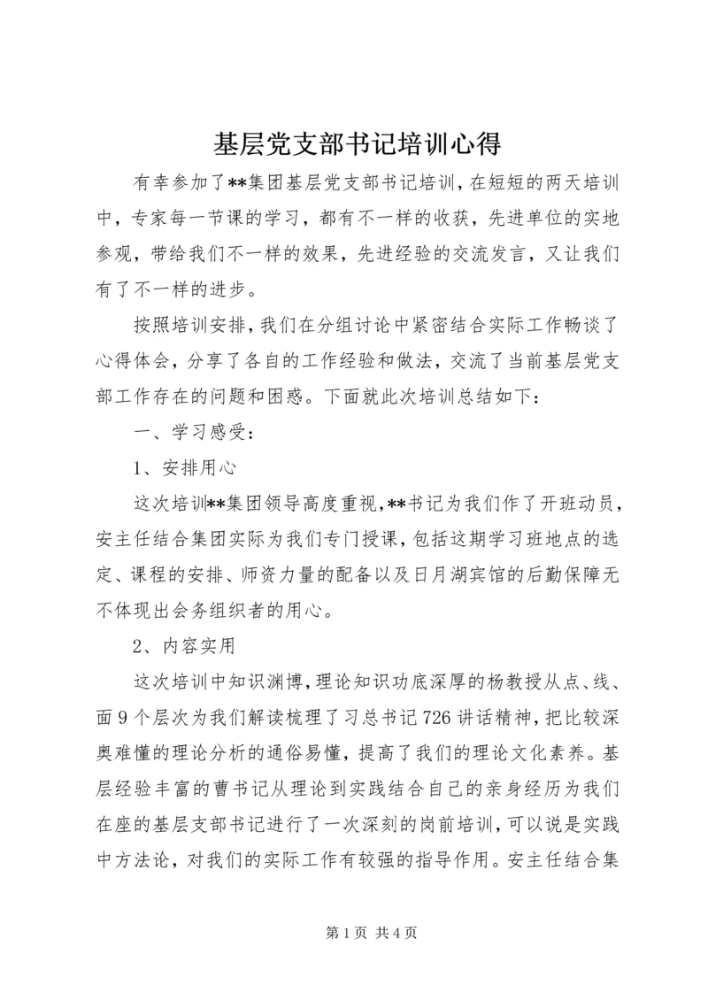 基层党支部书记培训心得.docx