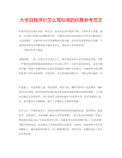 精编大学自我评价怎么写标准的经典参考范文.docx