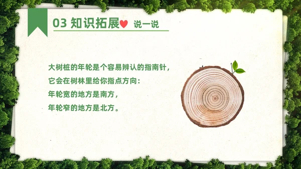 绿色简约实拍要是你在野外迷了路二年级语文下册说课PPT课件小学语文二年级下册课件