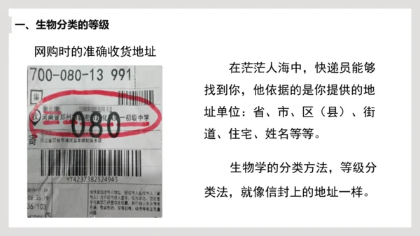 6.1.2+从种到界-【互动课堂】八年级生物上册精品课件（人教版）(共20张PPT)