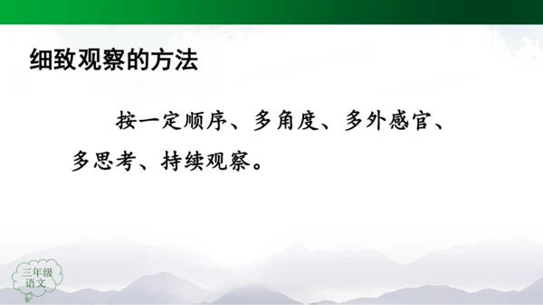 统编版三上第五单元 习作例文：我爱故乡的杨梅   课件