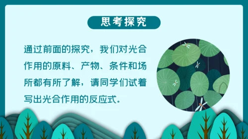 光合作用的原理和应用通用PPT模板