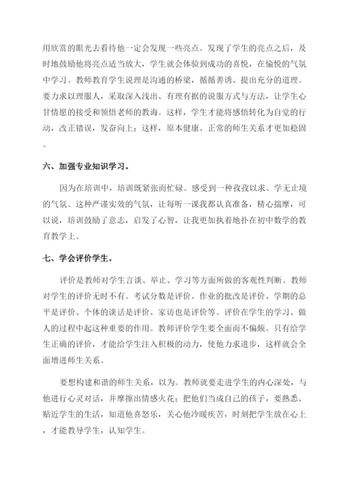 国培研修个人工作总结范文.docx