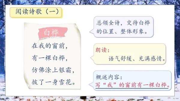 【核心素养】部编版语文四年级下册-11.白桦 第1课时（课件）