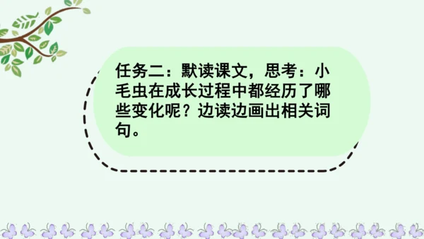 22小毛虫  课件