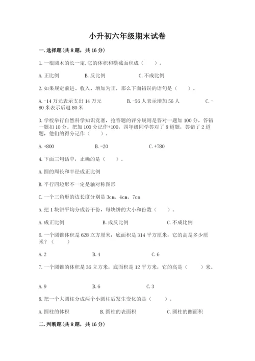 小升初六年级期末试卷（名师系列）.docx