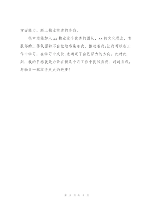客服个人试用期转正工作总结.docx